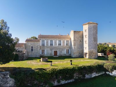 Authentic 4 bedroom Chateau for sale with panoramic and countryside views in Larroque Engalin, Lectoure, Occitanie