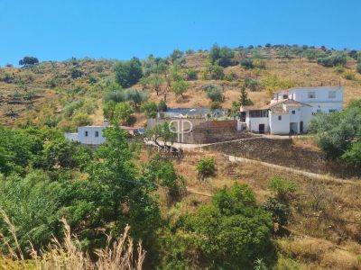 Authentic 5 bedroom Villa for sale with countryside view in Canillas de Aceituno, Andalucia