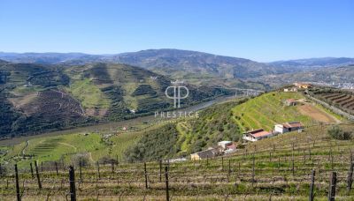 Income Producing Vineyard Land for sale with panoramic view in Peso da Regua, Northern Portugal