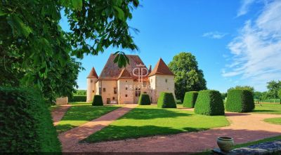 Beautiful 10 bedroom Chateau for sale with countryside view in Vichy, Auvergne Rhone Alpes