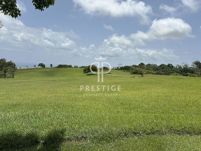 Project Land for sale in Apes Hill, Saint James
