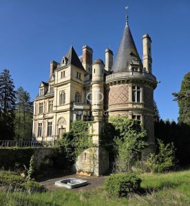 Authentic 5 bedroom Chateau for sale with countryside view in Porte de Bercy, Paris Ile de France