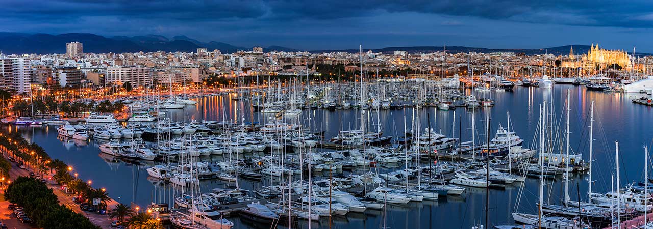 Palma Property