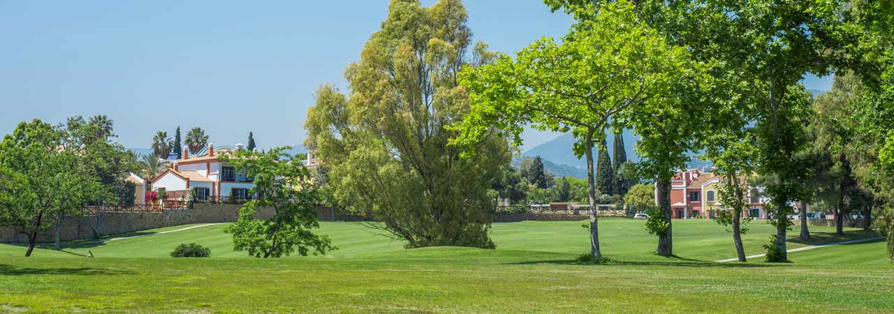 Sotogrande Property