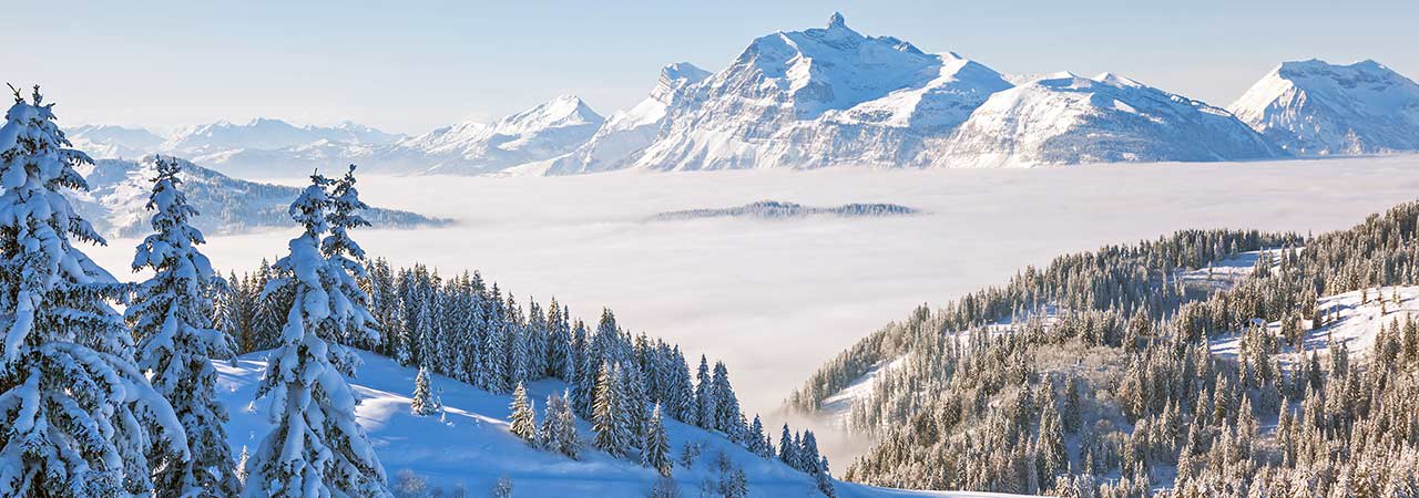 Les Gets Alps Ski Property