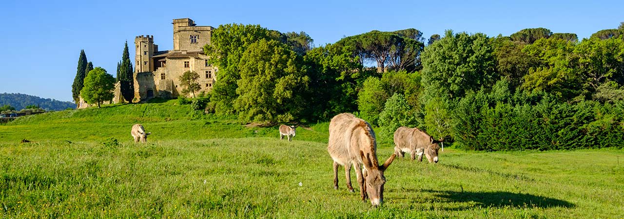 Lourmarin Property