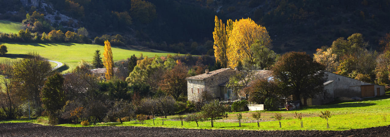 Pyrenees Atlantique Property