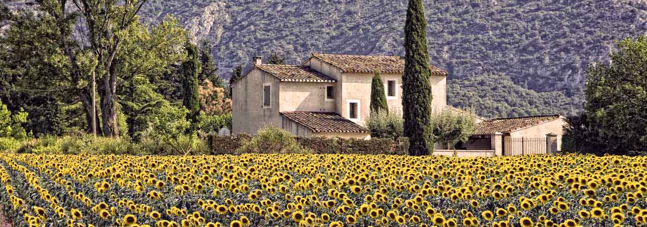 Provence Property