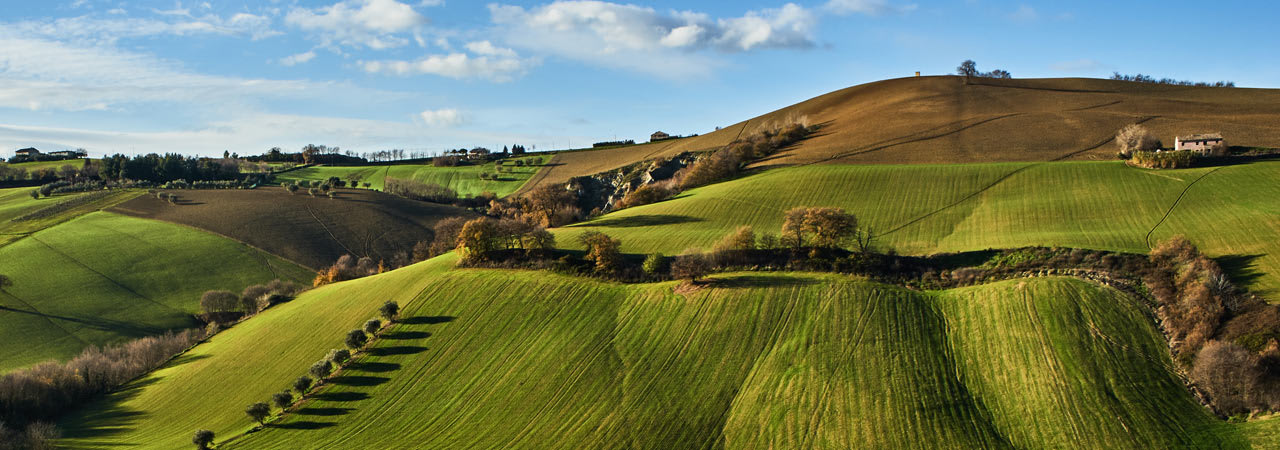 Property Marche