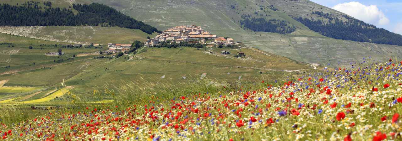 Umbria Property