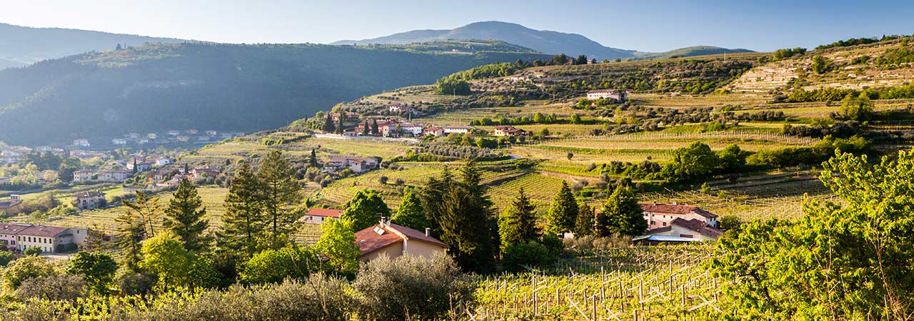 Valpolicella Property