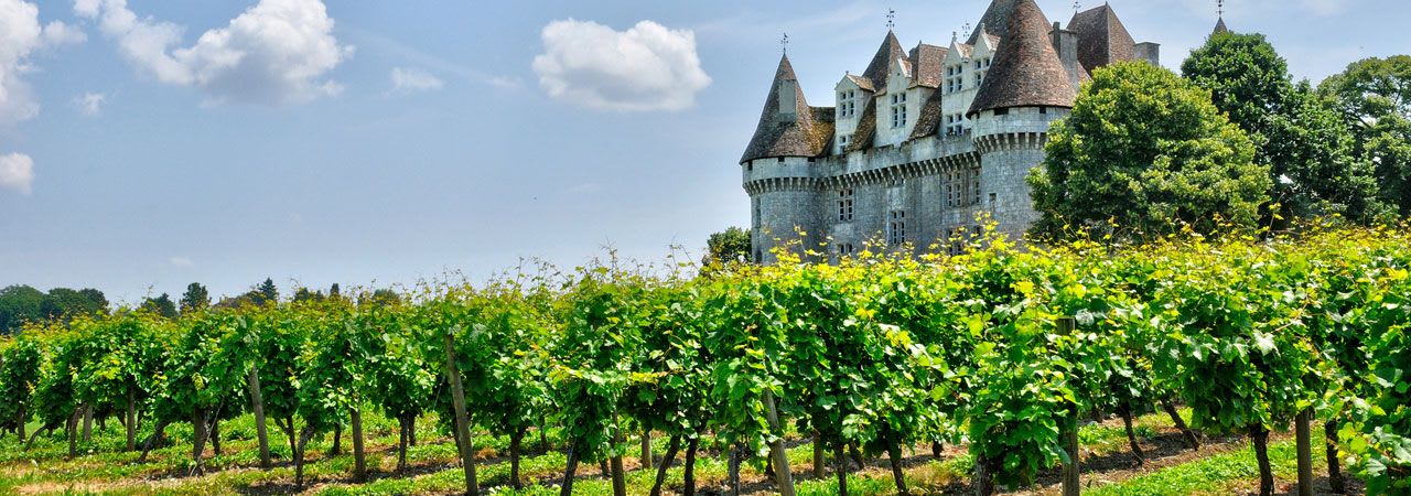 French Vineyard Properties