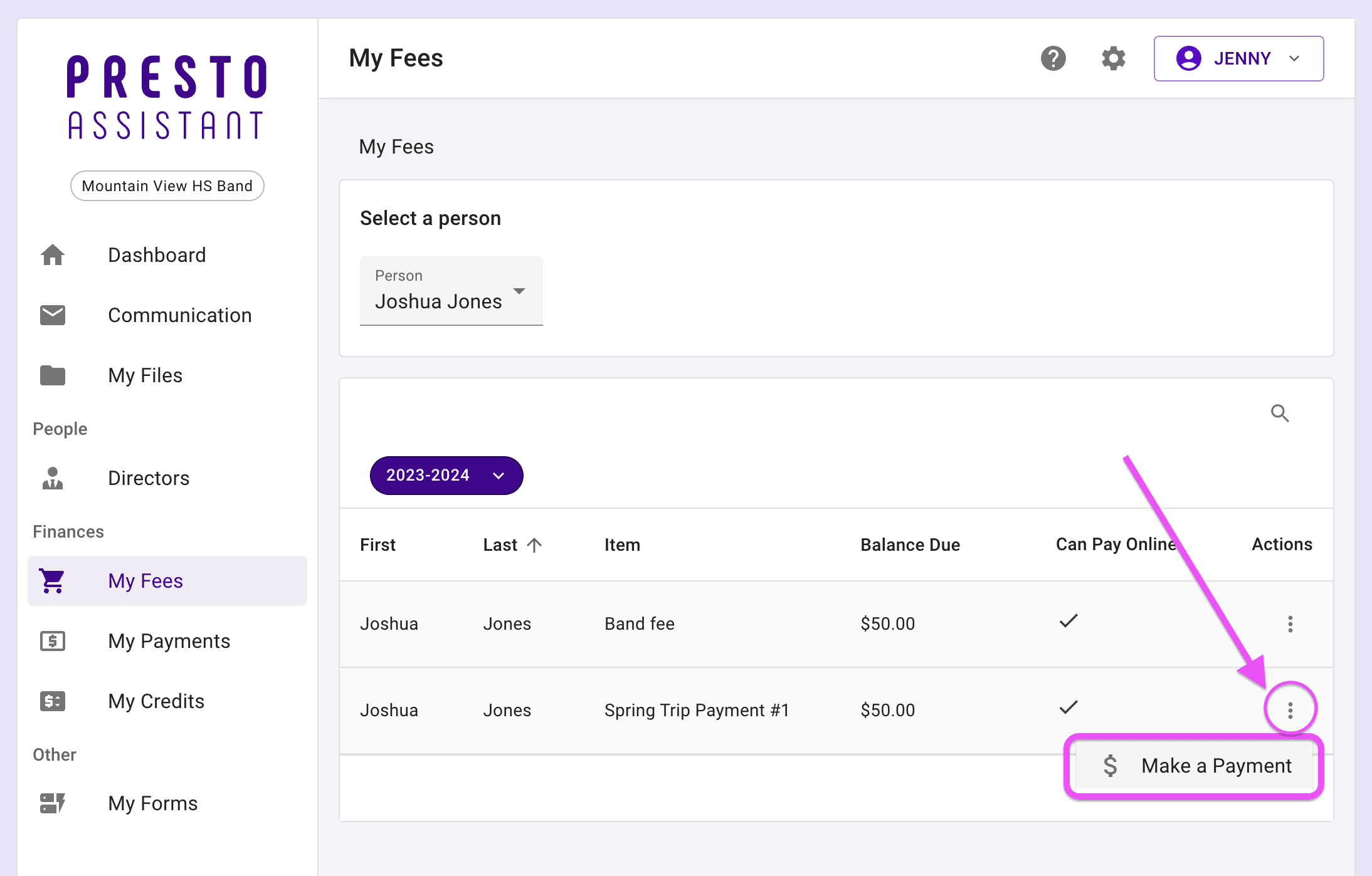 Parent view of the Payment Amount step of making an online Stripe payment.