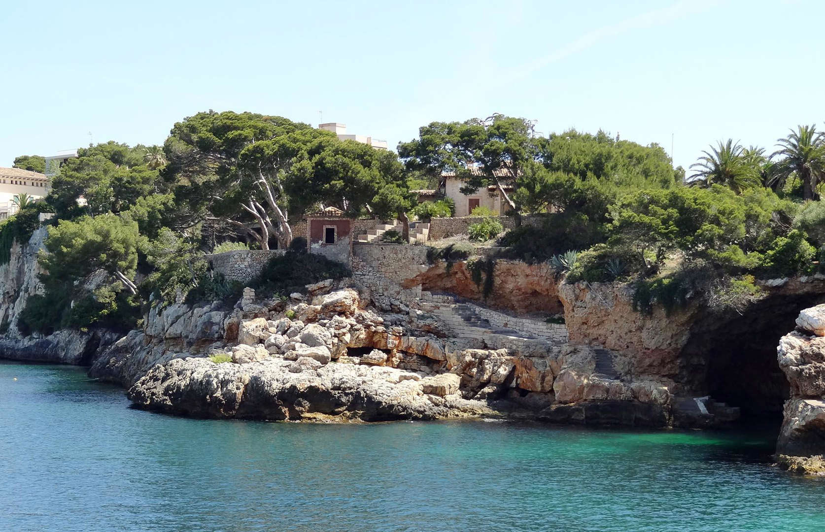 Olaf_Tausch_Wikimedia_Commons_CC_BY_3_0