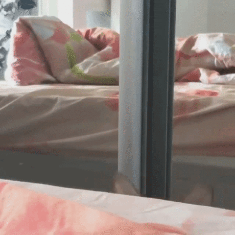 giphy-nantissement-prêt-immobilier