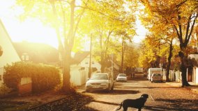 Bien choisir l’emplacement de son futur logement : nos astuces
