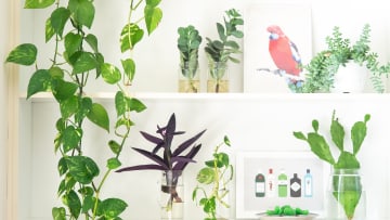 Différé d’amortissement : comment reporter les mensualités de votre prêt immobilier