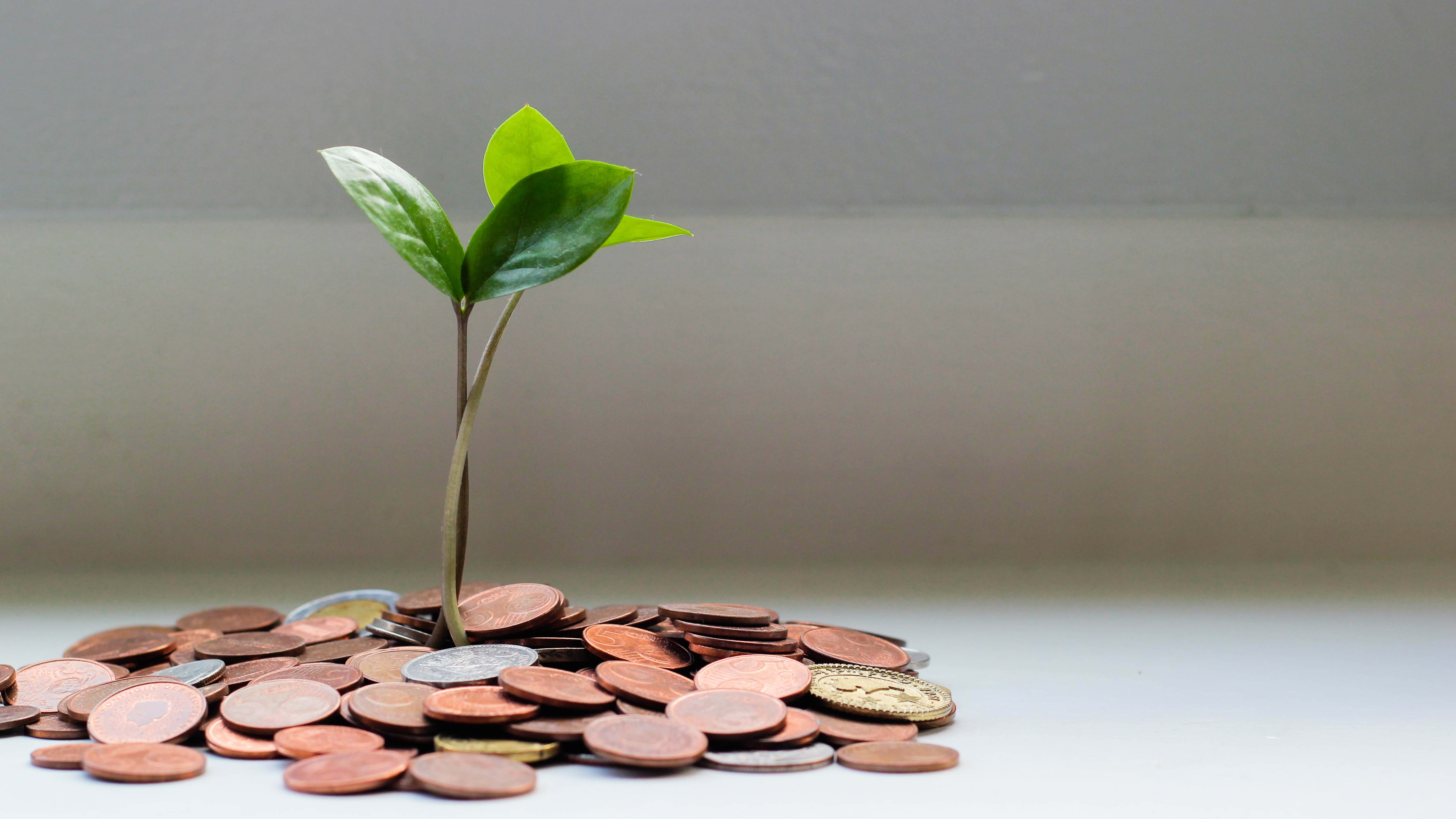 Banque Qui Pratique Le Calcul Differentiel
