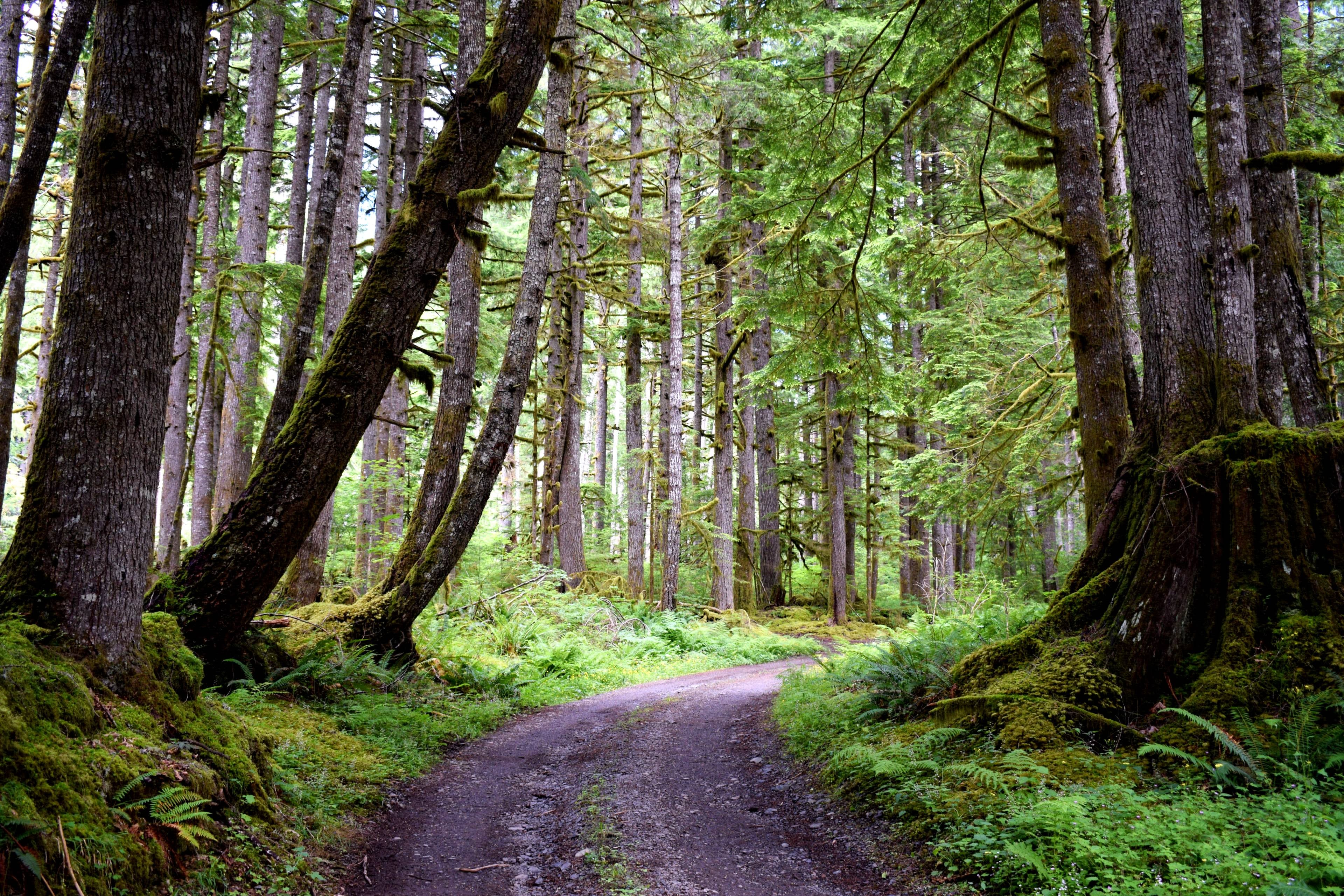 website/highlight/vivre-a-la-campagne