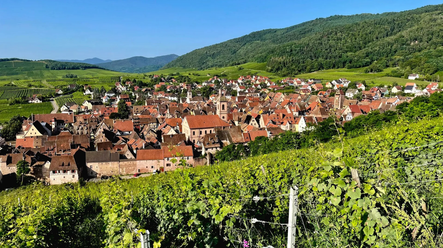 Ville de Riquewihr en Alsace