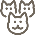 Icon for 3 cats