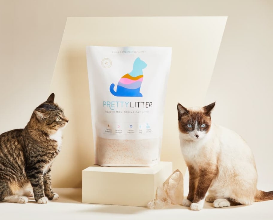 PrettyLitter bag and two cats