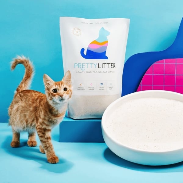 Delivery Subscription: Health Monitoring Cat Litter | PrettyLitter