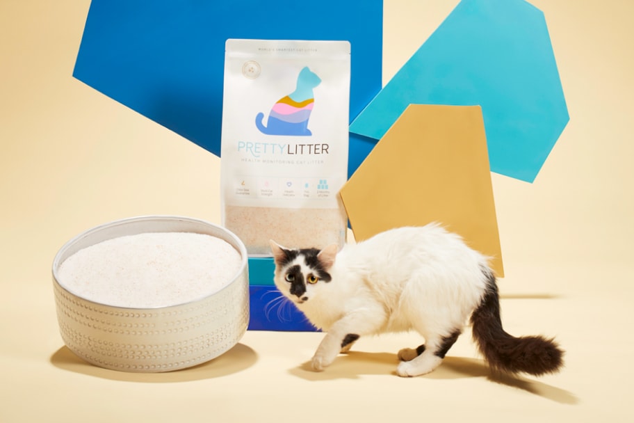 Health Monitoring Cat Litter Subscription