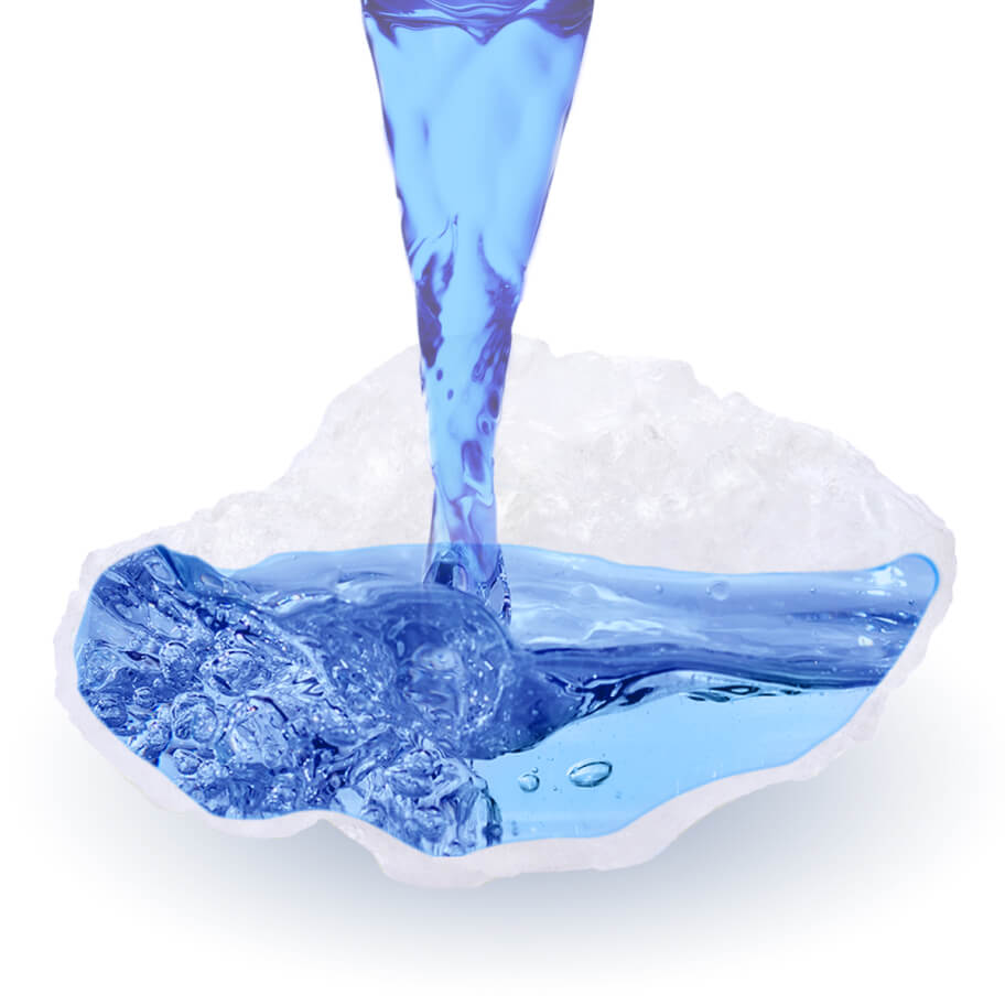 Cat Litter Coupons PrettyLitter