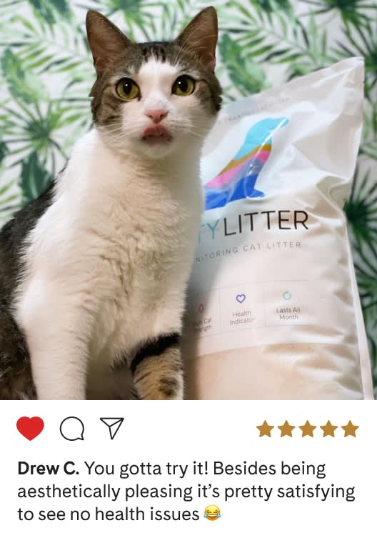 Health Monitoring Cat Litter Subscription