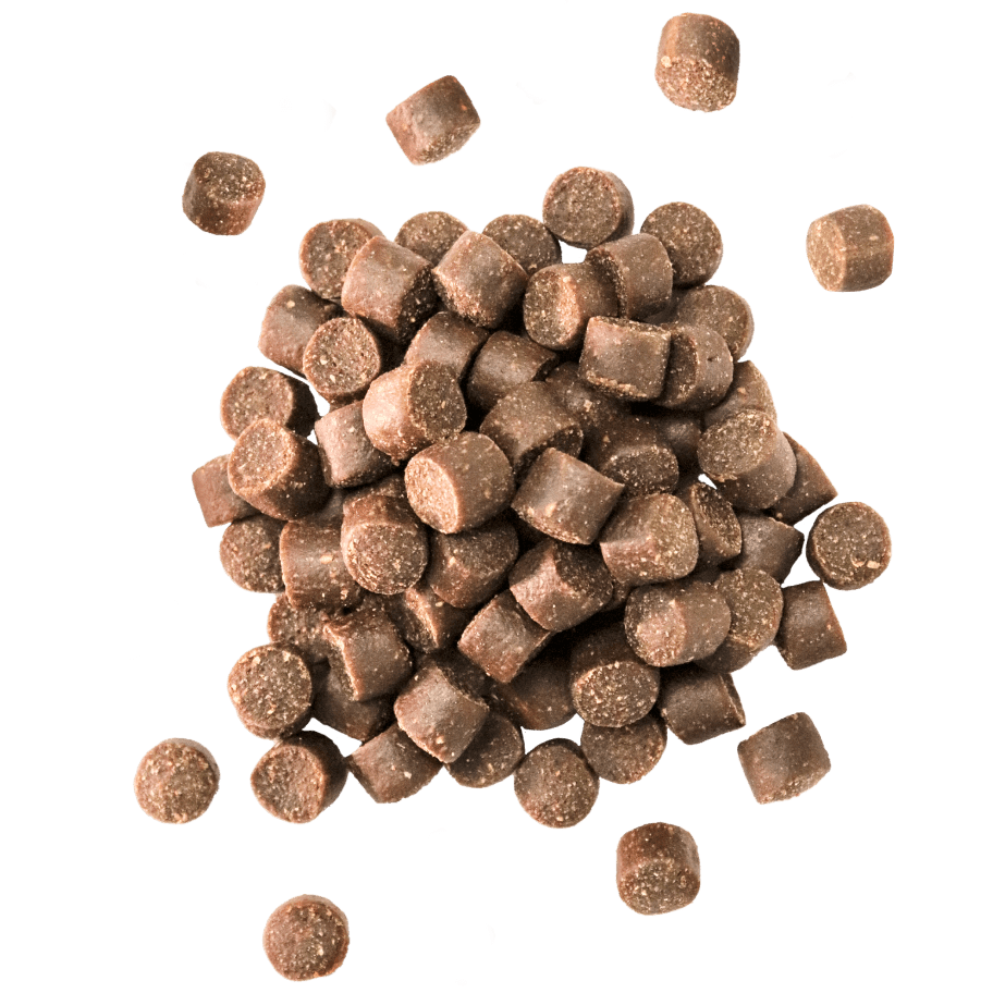 PrettyPlease Cat Food Subscription & Delivery PrettyLitter