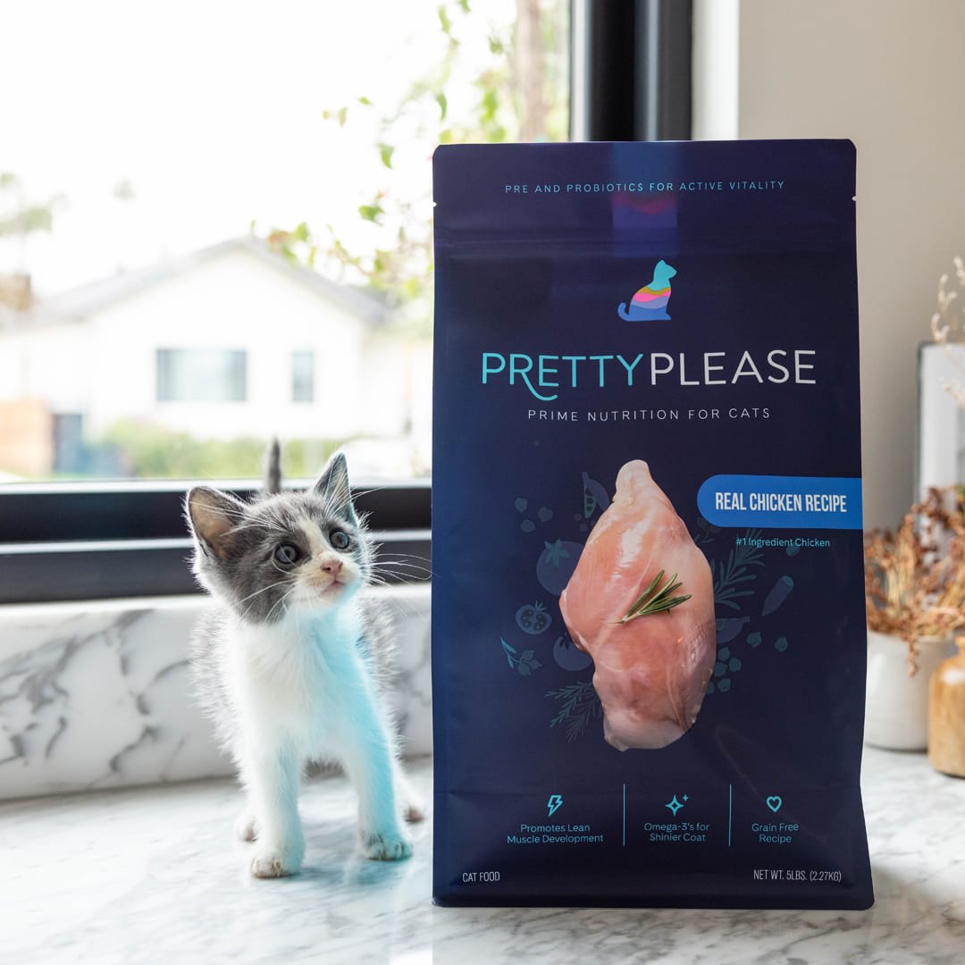 Pretty online litter food