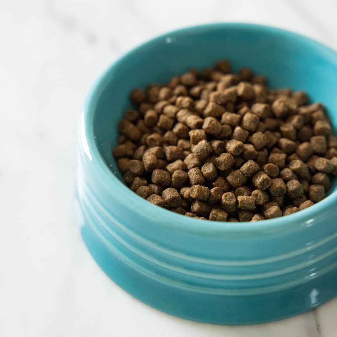 Pretty online litter food