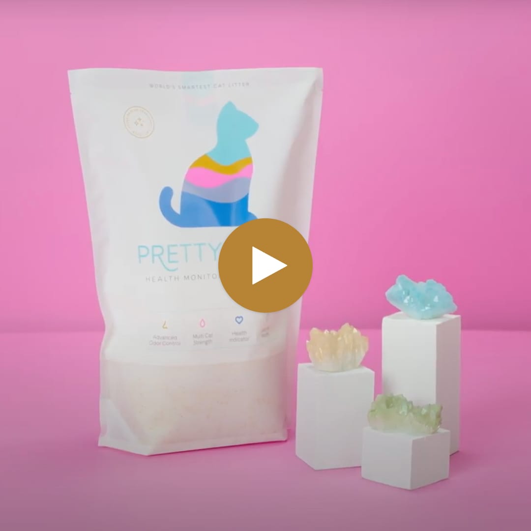 Order & Buy Cat Litter Online PrettyLitter