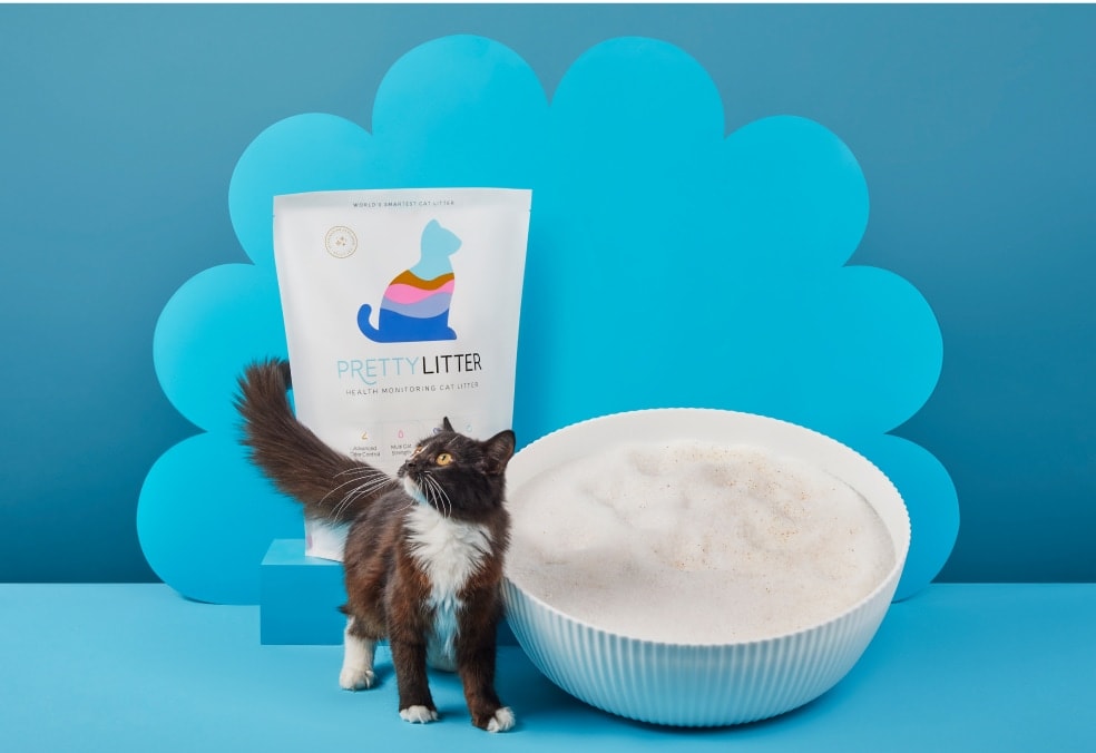 PrettyLitter bag, black and white cat, and bowl of litter with a blue background