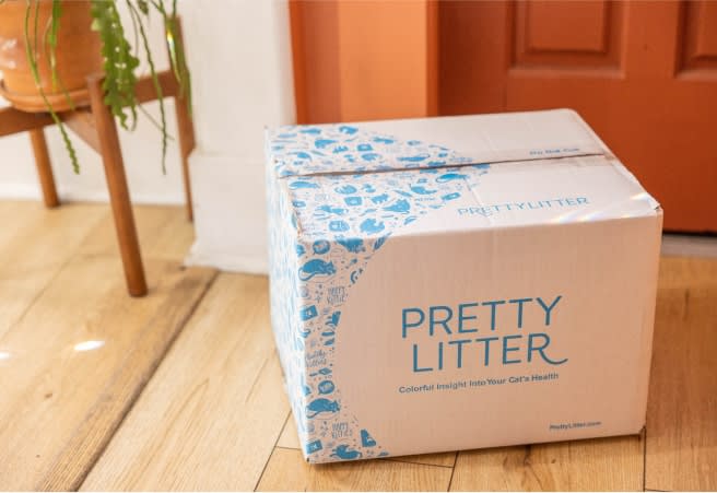 PrettyLitter box