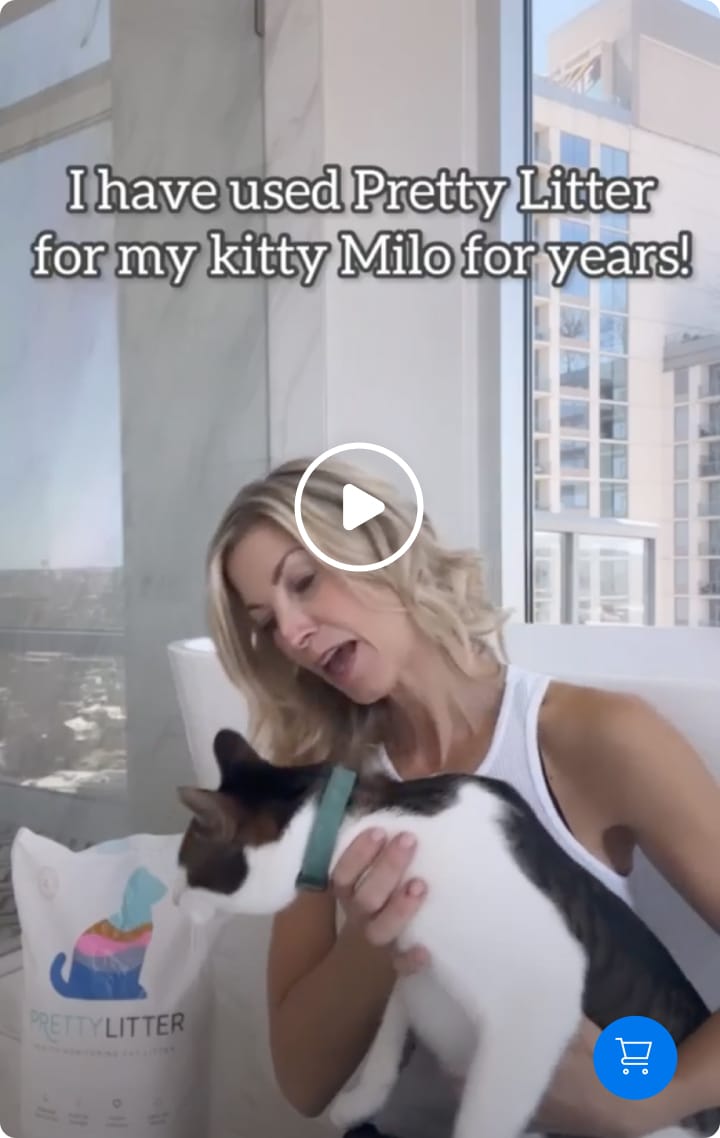 Delivery Subscription Health Monitoring Cat Litter PrettyLitter