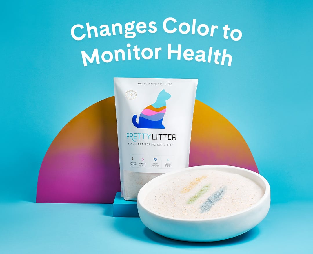 Cat Litter Litter Boxes Target vlr.eng.br