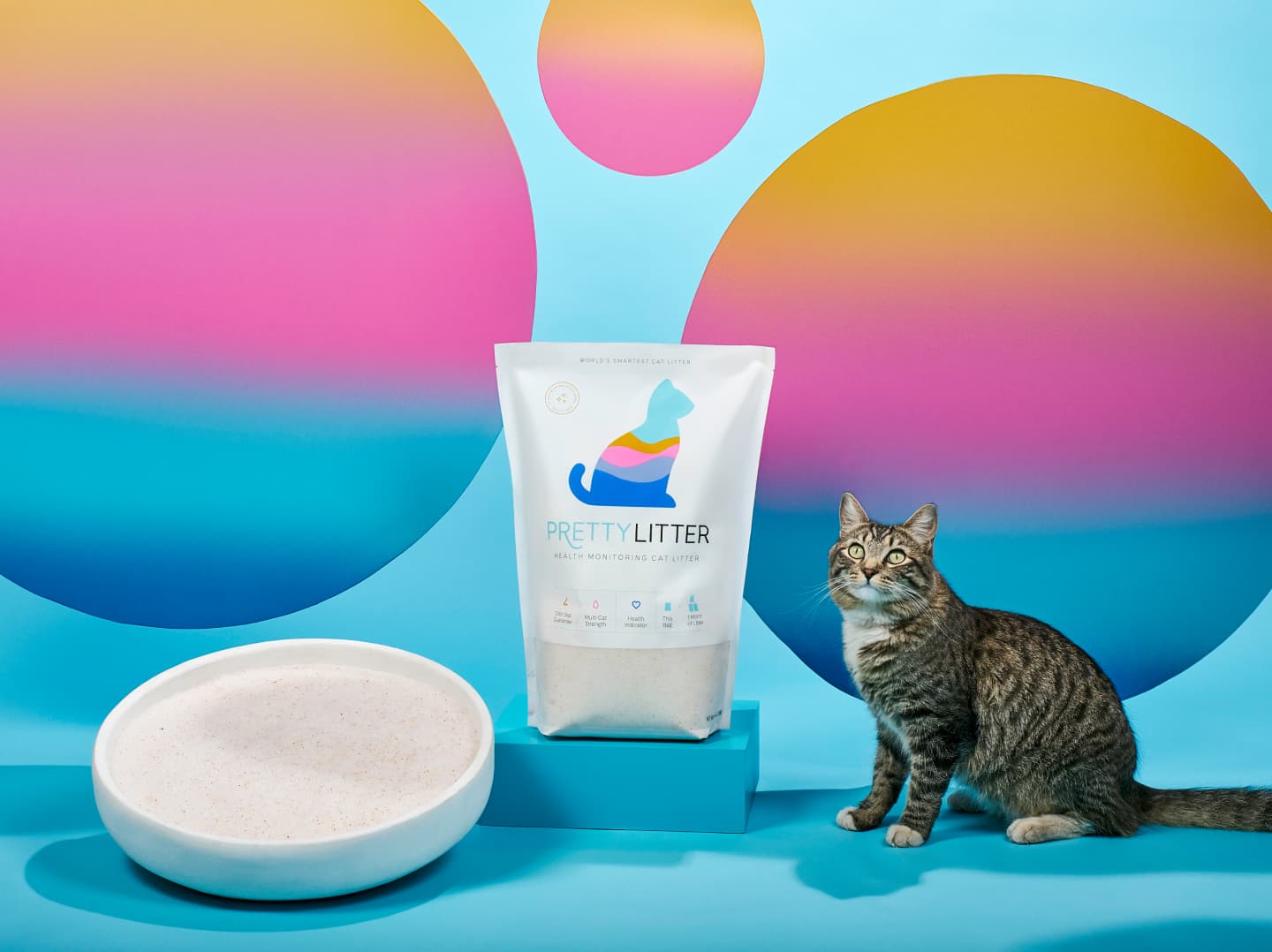 Cat with litter box and PrettyLitter bag