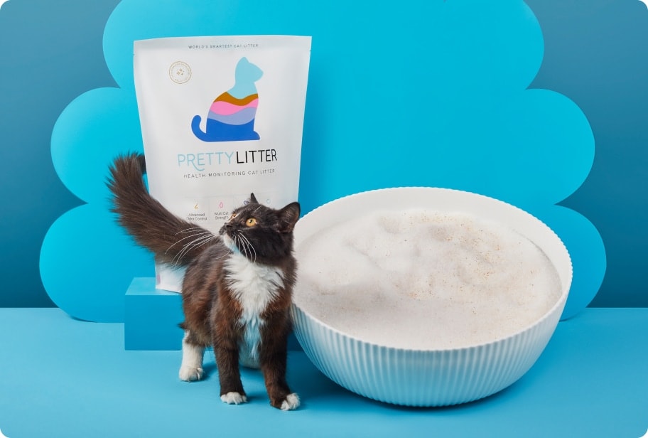 PrettyLitter package and bowl of litter with paw prints and scooper