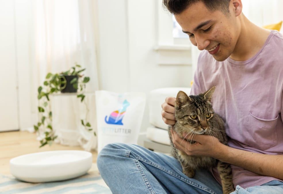 Man petting a tabby cat indoors