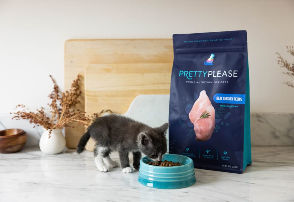 Kitten eating from a bowl next to a bag of PrettyPlease cat food.