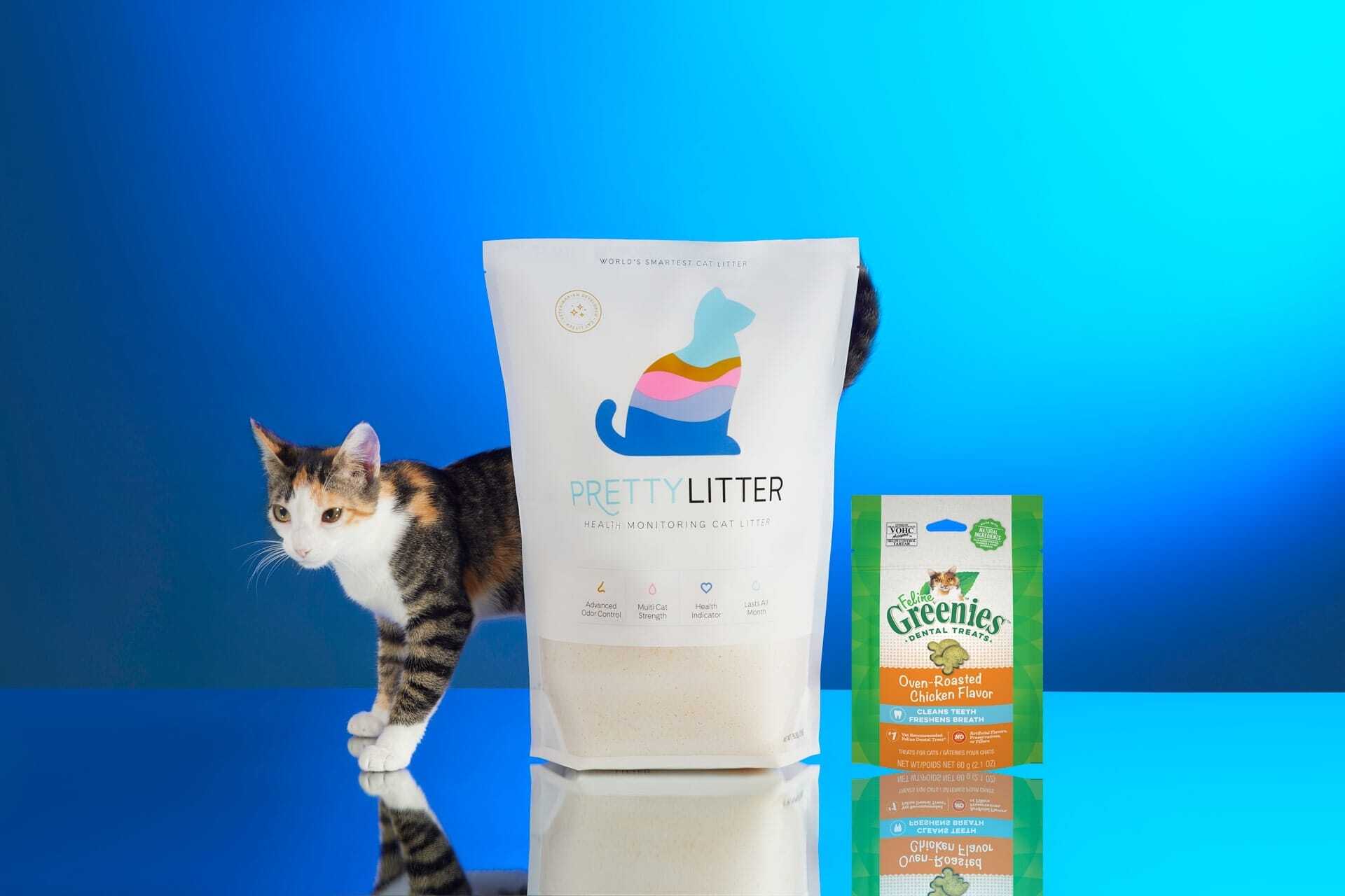 A cat walking through some of the PrettyLitter products