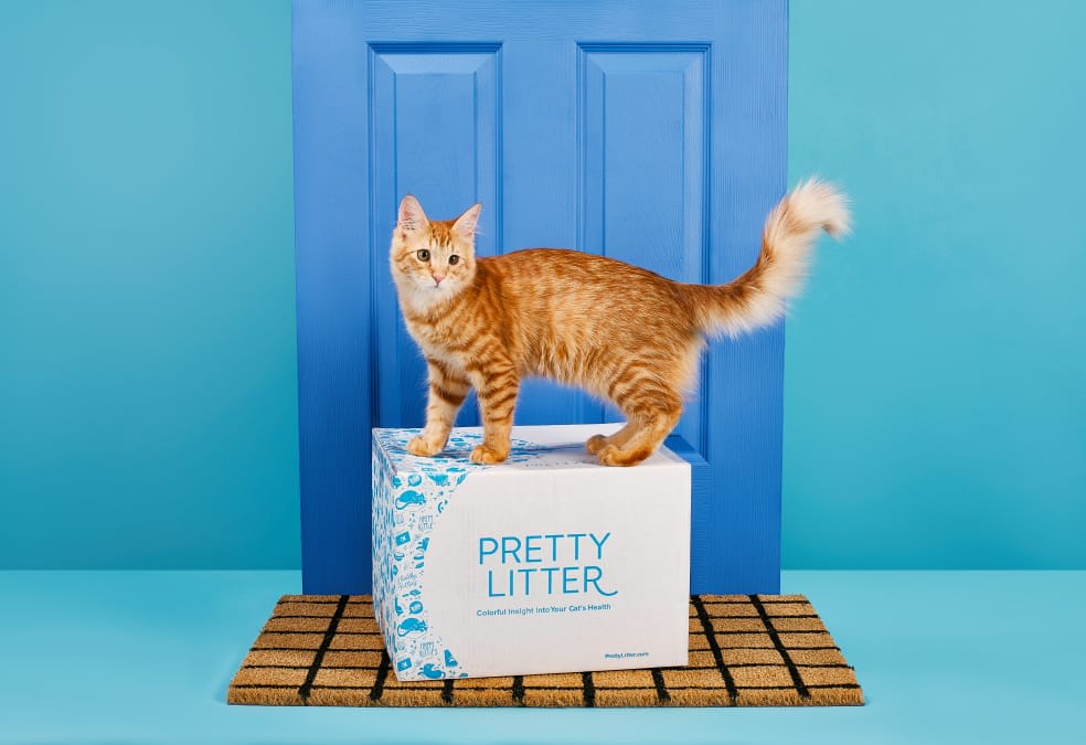 Free delivery