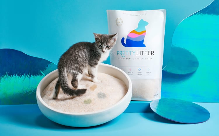 Cat sitting on health monitoring litter
