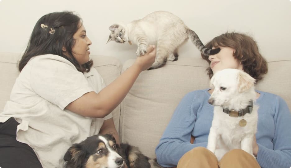 Two women playing with cat and two dogs.