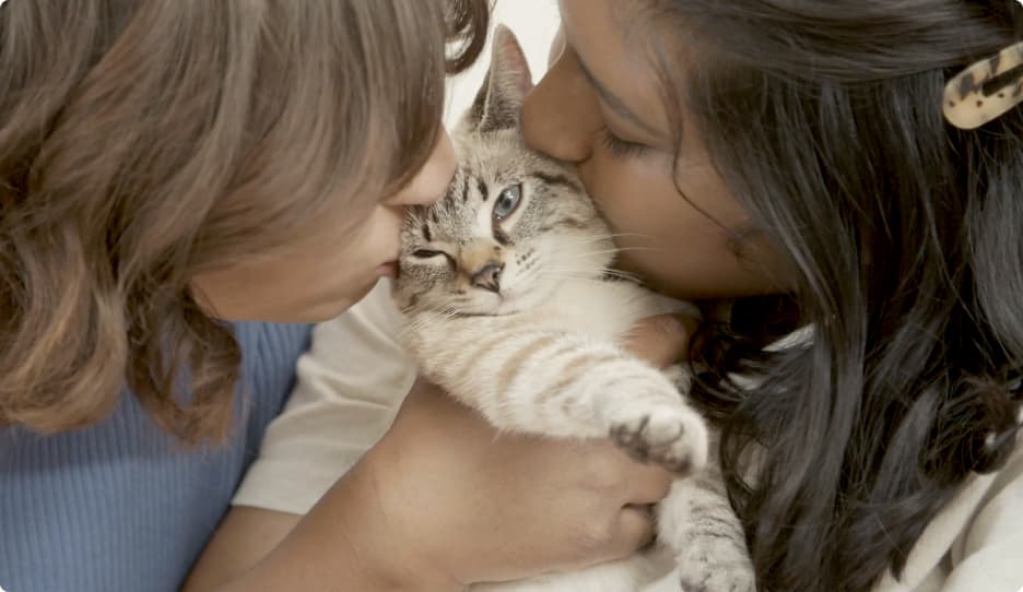 Two women kissing the cat