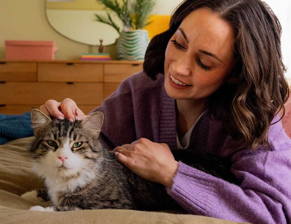 A cat parent caring for their cat