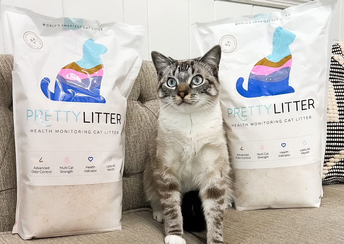 Cat with two PrettyLitter bags