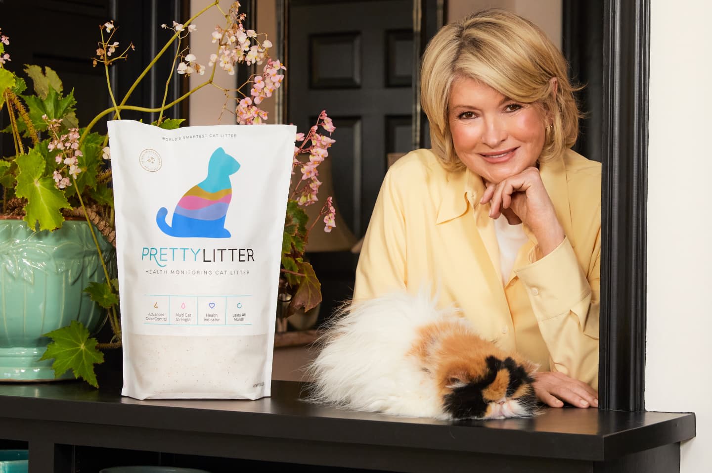 Martha Stewart And Her Two Persian Cats: Princess Peony And Empress Tang